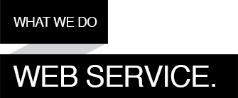 Web Service provider in singapore